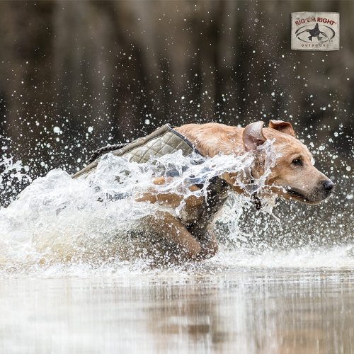 Rig'Em Right Waterfowl Bloodline Elite Dog Vest for Duck Hunting with Ultra Comfortable 3mm Neoprene 3-Layer Construction, Flotation Foam, Heavy-Duty Canvas, and More (Optifade Marsh, L)