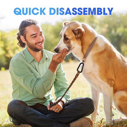Heavy Duty Carabiner Clip, Steel Carabiners 1100lbs 3" D Shaped Spring Hook Small Clips for Hammocks, Hiking, Keychains, Outdoors and Gym, Dog Leash and Key Ring (6PCS 3'' Clips)