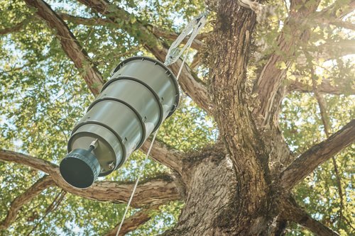Moultrie All-In-One Hanging Deer Feeder | 5-Gallon | Collapsible Bucket | Digital Timer