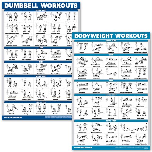 Palace Learning Dumbbell Workouts and Bodyweight Exercise Poster Set - LAMINATED 2 Chart Set - Dumbbell Exercise Routine & Body Weight Workouts (18" x 24")