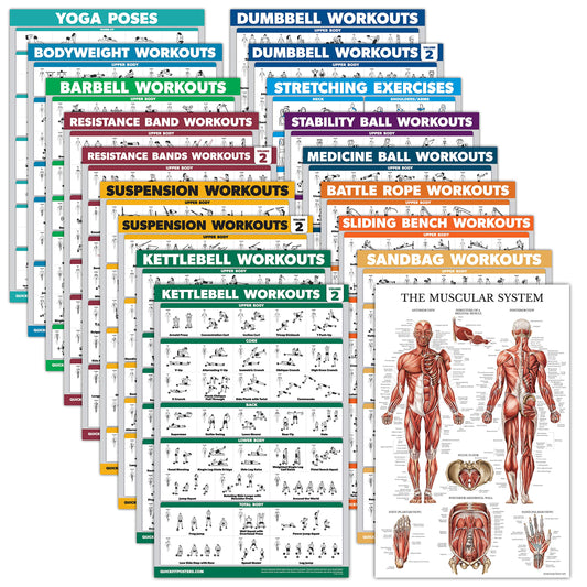 18 Pack - Exercise Poster Set: Dumbbell, Suspension, Kettlebell, Resistance Bands, Stretching, Bodyweight, Barbell, Battle Rope, Yoga, Exercise Ball, Muscular and More (LAMINATED, 18" x 24")