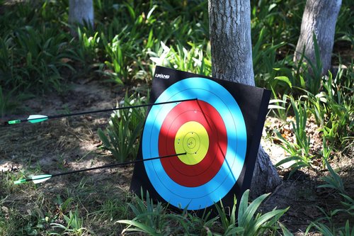 LWANO 20'' Foam Target High-Density Archery Bow & Arrow Target for Backyard (20 * 20 * 2inch)