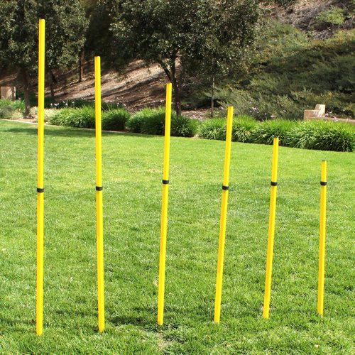 BlueDot Trading Soccer Agility Training Poles Adjustable Telescopic 3ft-6ft (8pc), Speed & Agility Poles for Soccer Training, Outdoor Game, Exercise Training, Football, Sport Training Equipment