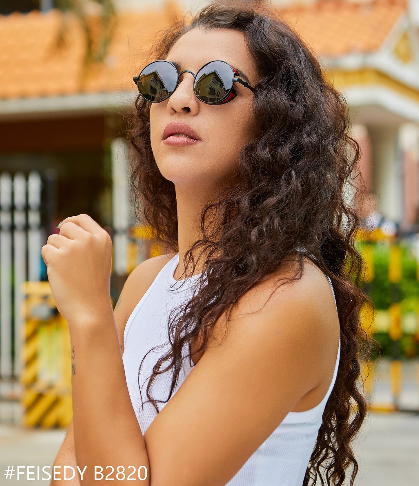 FEISEDY Retro Steampunk Sunglasses for Men Women, Round Metal Frame Gothic Vintage Style B2820