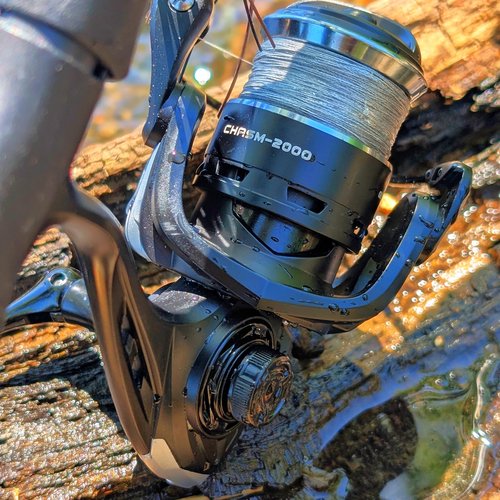 RIFT Chasm Spinning Reel, Carbon Disc Drag System, 5.2:1 Gear Ratio, 7+1 Stainless Steel Ball Bearings, CNC Aluminum Spool, Knurled Spool Center, Ambidextrous (Black/Silver - Without Line, 2000)