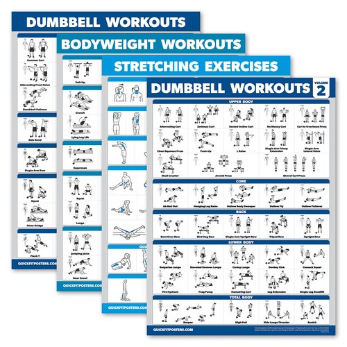 Palace Learning 4 Pack - Dumbbell Workouts + Bodyweight Workouts + Stretching Exercises + Dumbbell Vol 2 - Set of 4 Workout Charts (18??x 24?? LAMINATED)