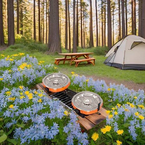 Cofiyard 20,000 BTUs 2 Burner Propane Camping Stove, Portable Folding Camp Stove with Adjustable Burners, Regulator and Carrying Bag, Dual Gas Stoves Easy Carrying Handle for Tailgating, Camping, BBQ