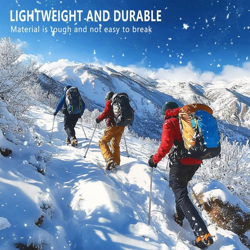 Hiking Pole Detachable Lightweight for Hiking Stick Walking Pole for Man Women