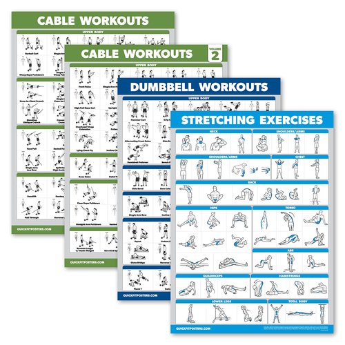 4 Pack - Cable Machine Workout Posters Volume 1 & 2 + Dumbbell Exercises + Stretching Exercises (LAMINATED, 18" x 24")