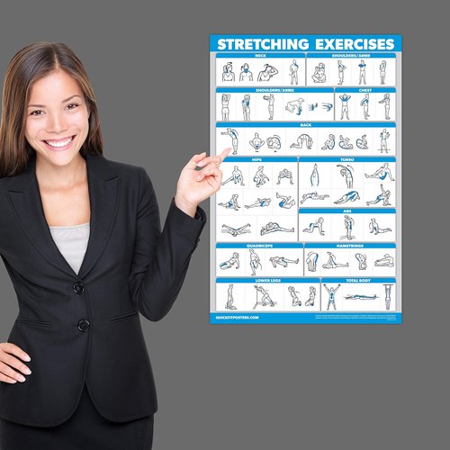 Palace Learning 4 Pack - Dumbbell Workouts + Bodyweight Workouts + Stretching Exercises + Dumbbell Vol 2 - Set of 4 Workout Charts (18??x 24?? LAMINATED)