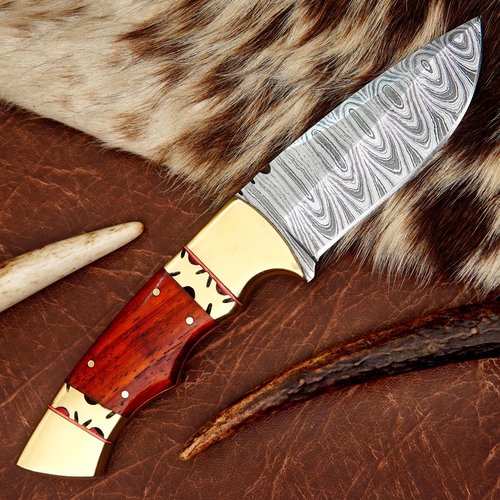 ColdLand Damascus Hunting Knife - 8.75 Inch Fixed Blade Knife with African Red Padauk Wood & Brass Bolster Handle - Full Tang Hunting Knives with Sheath for Picnic, EDC & Camping - NAK31