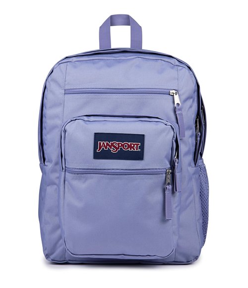 JanSport Laptop Backpack - Computer Bag with 2 Compartments, Ergonomic Shoulder Straps, 15” Laptop Sleeve, Haul Handle - Lavender Ash