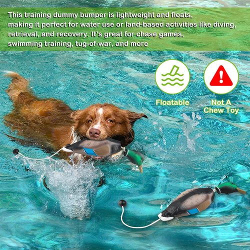 Archerest Dead Duck Dummy Bumper Toys for Waterfowl Hunting Retriever Dog Training, Floating Mallard Dummy Trainer Outdoor Soft Durable Realistic Fowl