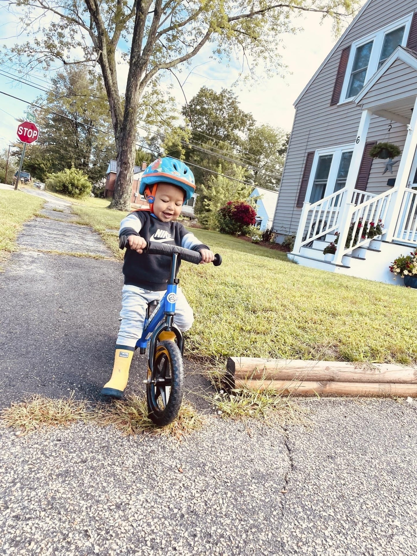 Strider 12 Sport Bike, Blue - No Pedal Balance Bicycle for Kids 1 to 4 Years - Includes Safety Pad, Padded Seat,Mini Grips, Flat-Free Tires -Easy Assembly, Tool-Free Adjustments