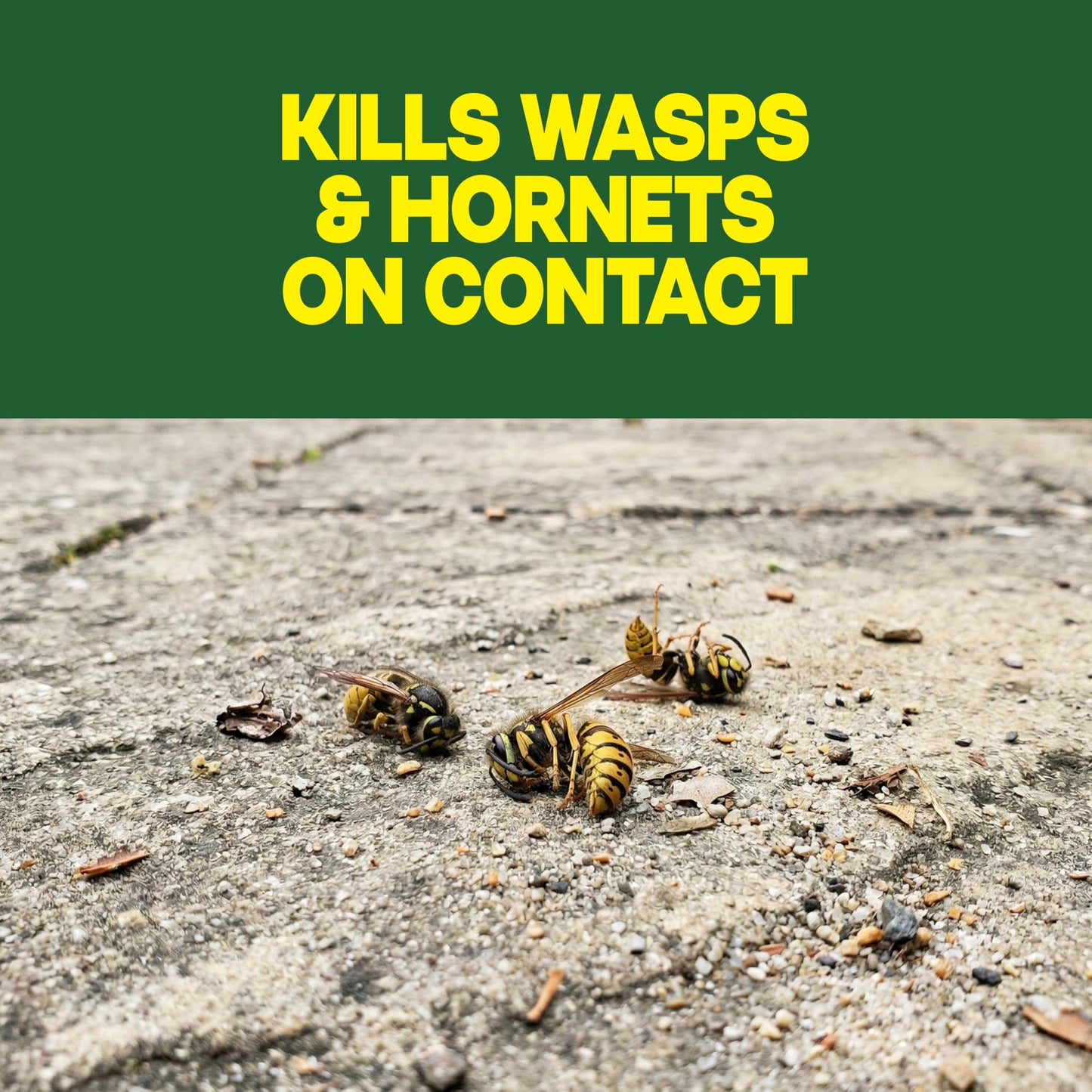 Raid Wasp & Hornet Killer Spray, Bug Killer, Wasp and Hornet Spray Kills the Entire Nest, 14 Oz, 2 Count