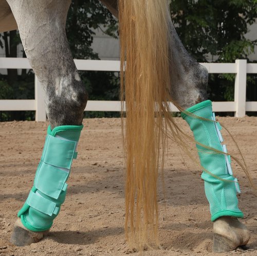 LEAFOREST Horse Fly Boots Set of 4 - Non Slip Leg Protection for Donkey Mini Pony Draft, Breathable Mesh Fly Boots for Pasture & Barn Use Green Full