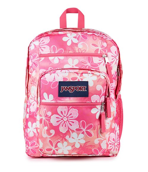 JanSport Laptop Backpack - Computer Bag with 2 Compartments, Ergonomic Shoulder Straps, 15” Laptop Sleeve, Haul Handle - Hiblisscus