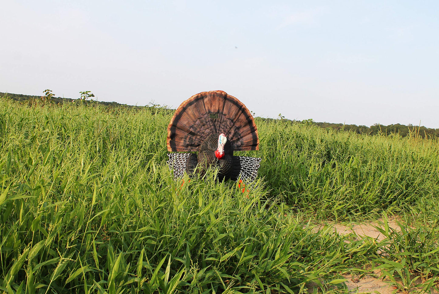 MOJO Scoot-N-Shoot MAX Tom Turkey Hunting Decoy with Realistic Fan