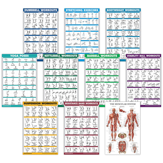 10 Pack - Exercise Workout Poster Set - Dumbbell, Suspension, Kettlebell, Resistance Bands, Stretching, Bodyweight, Barbell, Yoga Poses, Exercise Ball, Muscular System Chart (LAMINATED,18" x 24")