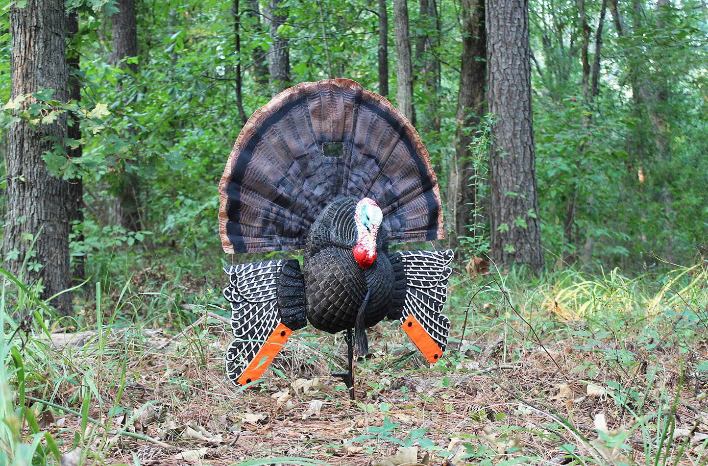 MOJO Scoot-N-Shoot MAX Tom Turkey Hunting Decoy with Realistic Fan